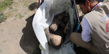 Delivery Boy Found Carrying 800 Year Old Mummy In A Delivery Bag In Peru Says It Is My Spiritual Girlfriend – बैग में 800 साल पुरानी ममी लेकर घूम रहा था डिलीवरी बॉय, पकड़े जाने पर बोला