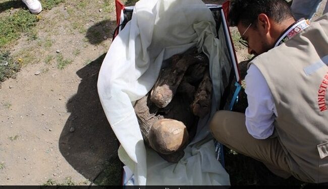 Delivery Boy Found Carrying 800 Year Old Mummy In A Delivery Bag In Peru Says It Is My Spiritual Girlfriend – बैग में 800 साल पुरानी ममी लेकर घूम रहा था डिलीवरी बॉय, पकड़े जाने पर बोला
