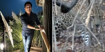 Video Of Leopard Roaming In The Jungle: Legendary Cricketer Sachin Tendulkar Shares Incredible Video Of Leopard From One Of His Jungle Safari Adventures