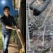 Video Of Leopard Roaming In The Jungle: Legendary Cricketer Sachin Tendulkar Shares Incredible Video Of Leopard From One Of His Jungle Safari Adventures