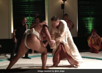 8 Years Of Pain: Old Photo Of Elon Musk Fighting A Sumo Wrestler Goes Viral, Twitter CEO Reacts