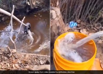 Man Made Jugaad Hand Pump With Sticks And A Tyre To Extract Water From A Deep Pit Will Amaze You Viral Video – गहरे गड्ढे से पानी निकालने के लिए शख्स ने किया जुगाड़, लकड़ी और पाइप से बनाया ऐसा हैंडपंप, लोग बोले