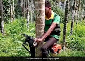 Harsh Goenka Shares Unique Jugaad Of Tree Climbing Scooter Internet Is Impressed See Viral Jugaad Video