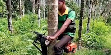 Harsh Goenka Shares Unique Jugaad Of Tree Climbing Scooter Internet Is Impressed See Viral Jugaad Video
