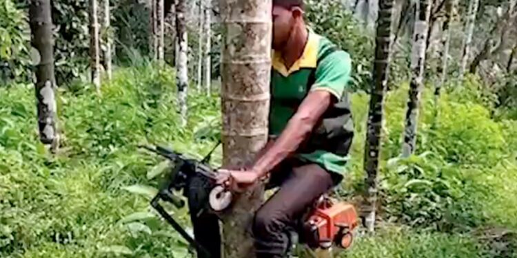 Harsh Goenka Shares Unique Jugaad Of Tree Climbing Scooter Internet Is Impressed See Viral Jugaad Video