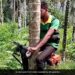 Harsh Goenka Shares Unique Jugaad Of Tree Climbing Scooter Internet Is Impressed See Viral Jugaad Video