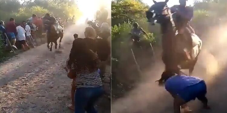 Watch Horse Racing Video: Woman Comes In Front Of Horse Race Gets Hurt Badly Video Viral On Social Media