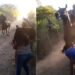 Watch Horse Racing Video: Woman Comes In Front Of Horse Race Gets Hurt Badly Video Viral On Social Media
