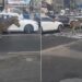 Watch: Zebra Runs Amid Traffic After Escaping Zoo In South Korea, Rescued Later, Zebra Running On Traffic Name Siro Rescued By Forest Department, Zebra Viral Video