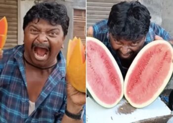 Humble Fruit Seller Takes Internet By Storm: Man Selling Fruits With Unique Way Funny Video Goes Viral On Social Media