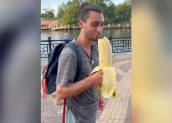 This Banana Is Of 3 Kilos! One Is Equal To A Small Child, Would You Be Able To Eat 1 Banana Alone? Watch Viral Video