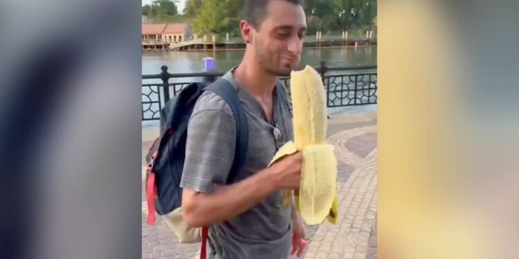This Banana Is Of 3 Kilos! One Is Equal To A Small Child, Would You Be Able To Eat 1 Banana Alone? Watch Viral Video