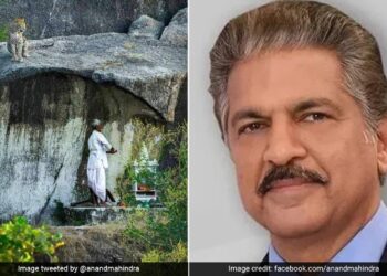 Anand Mahindra Shares Photo Of An Old Man Not Fear Leopard During Puja Remember Banking System Tweet Goes Viral