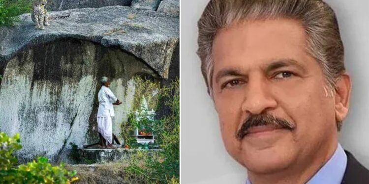 Anand Mahindra Shares Photo Of An Old Man Not Fear Leopard During Puja Remember Banking System Tweet Goes Viral