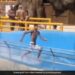 Man Was Running On A Waterslide In An Amusement Park Then What Happened Next In Viral Video