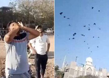 Kauwa Bulane Ka Tarika: Man Calls Crows By Making Unique Unique Sound, Crow Man Of India Video