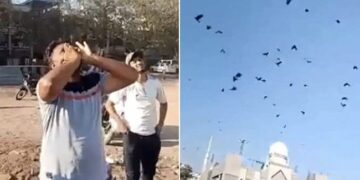 Kauwa Bulane Ka Tarika: Man Calls Crows By Making Unique Unique Sound, Crow Man Of India Video