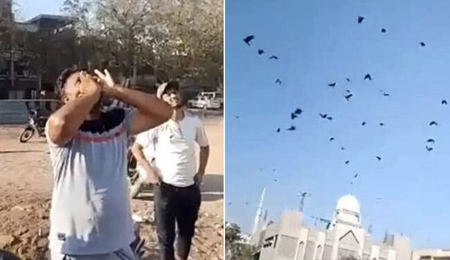 Kauwa Bulane Ka Tarika: Man Calls Crows By Making Unique Unique Sound, Crow Man Of India Video