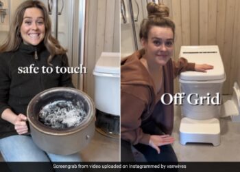 Viral Video Of Waterless Toilet That Turns Poop Into Ash: This Waterless Toilet Turns Poop Into Ash With The Touch Of A Button, Watch Viral Video