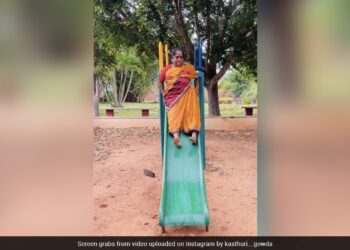 Aunt Climbed On The Slider Like A Child, Then She Fell Down With A Bang, You Will Laugh After Watching The Video