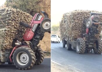 Viral Video: An Tractor Overloaded With Sugarcane Performs Risky Stunt On Highway, Dangerous Tractor Stunt, HIGHWAY STUNT, STUNT VIDEO