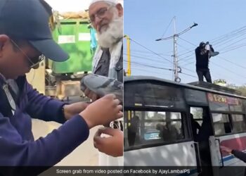 Traffic Constable Saved A Pigeon Stuck On Kite Threads By Climbing On The Bus IAS Says Every Life Matters See Video