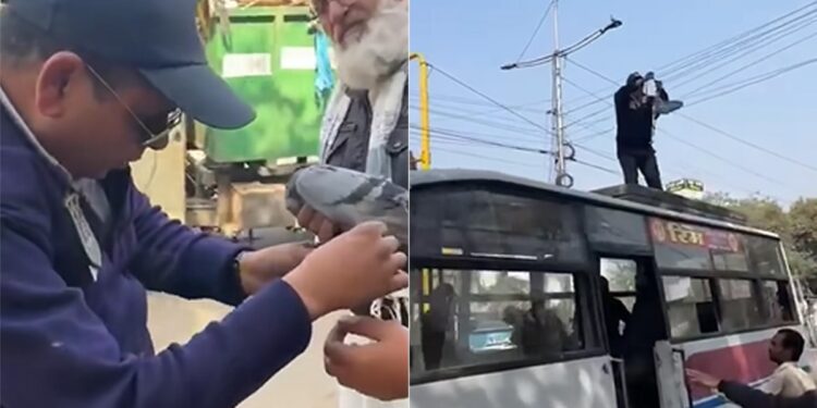 Traffic Constable Saved A Pigeon Stuck On Kite Threads By Climbing On The Bus IAS Says Every Life Matters See Video