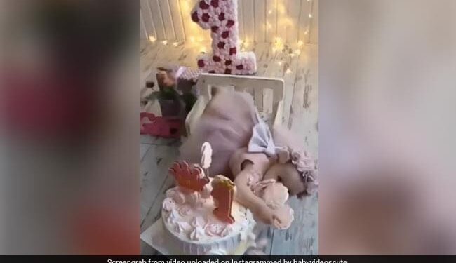 Little Girl Dropped Birthday Cake Cute Video Going Viral