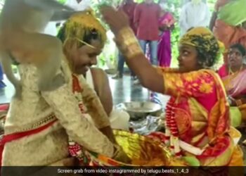 Monkey Jumped On The Heads Of Bride And Groom During Wedding Rituals In The Mandap Then This Happened