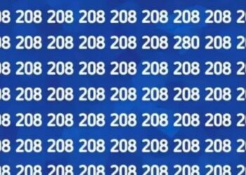There Is A Different Number Hidden Among Many 208 In The Tell Where And What Is The Number Optical Illusion