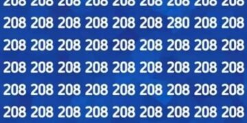 There Is A Different Number Hidden Among Many 208 In The Tell Where And What Is The Number Optical Illusion