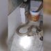 The Person Bathed The Dangerous Snake By Holding Its Hood, You Will Be Shocked To See The Video