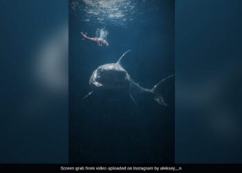 Shark Attack On The Ship Blown Into Pieces Collided With The Helicopter Animation Artist Posts Video Of Megalodon Attack