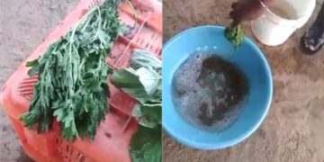 The Vegetable Had Become Spoiled, It Became Fresh As Soon As It Was Mixed With Chemicals, People Said – Oh My God, We Are Eating Poison! – ख़राब हो गई थी सब्जी, कैमिकल में मिलाते ही ताजी हो गई, लोगों ने कहा