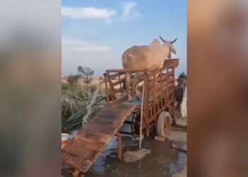 Villagers Made Special Jugaad To Extract Water: Villagers Made Jugaad To Extract Water From Under The Ground