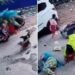 Dogs Attacks Scooty Women: Dogs Herd Attacks Women Riding Scooty What Happened Next