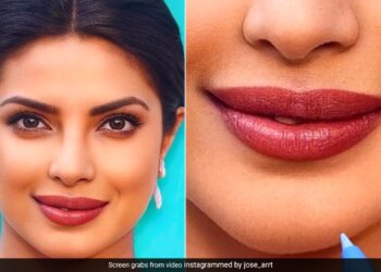 Priyanka Chopra Would Have Looked Like This If She Was A Man, Artist Surprised Everyone With Her Art