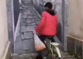 This Art Is Astonishing To The Eyes, After Seeing It On Social Media, People Are Saying – Very Beautiful – जिसे आप रास्ता समझ रहे हैं, वो एक रहस्य है, वीडियो देख लोगों ने कहा