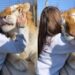 Shocking Video Of Girl Playing With Tiger Goes Viral On Social Media