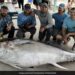 Giant Tuna Fish Broke A Rod In Two Pieces During 2 Hour Fight With Fishermen In US Then What Happened