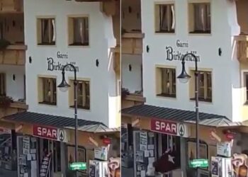 Viral Video: Cow Casually Walks Out Of A Supermarket In Austria Netizens Wonder What It Was Shopping For