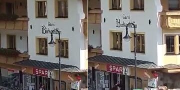 Viral Video: Cow Casually Walks Out Of A Supermarket In Austria Netizens Wonder What It Was Shopping For