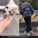 Kitten Was Stuck On The Busy Highway Then A Man Did This To Save Internet Says Rare Human Watch Video – बिजी हाइवे पर फंसा था बिल्ली का बच्चा, बचाने के लिए शख्स ने जो किया, लोग बोले