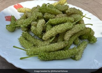 By Sharing The Picture On Twitter, Kumar Vishwas Asked People The Name Of This Fruit, What Do You Call It?