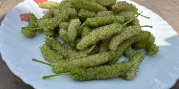 By Sharing The Picture On Twitter, Kumar Vishwas Asked People The Name Of This Fruit, What Do You Call It?