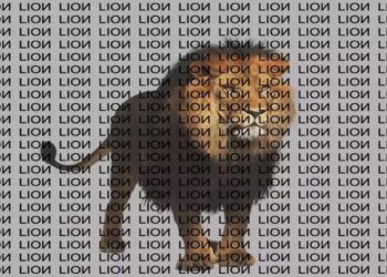 Optical Illusion Picture: Can You Find Hidden Correct Spelling Of Lion In 10 Seconds From The Optical Illusion Picture Article