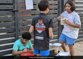 Kids Set Up Lemonade Stall With Slash Sale In Bengaluru Because They Were Bored Internet Says Budding Entrepreneurs