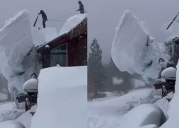 Huge Slab Of Snow Removed From California House Rooftop Watch Viral Video