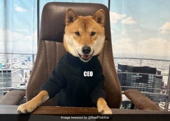 Twitter Logo Changed Elon Musk Changes Twitter Logo To Doge Image Instead Of Blue Bird Internet Reacts