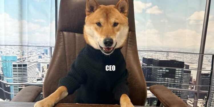 Twitter Logo Changed Elon Musk Changes Twitter Logo To Doge Image Instead Of Blue Bird Internet Reacts